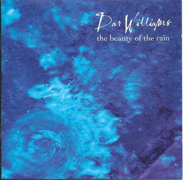 Dar Williams - The  Beauty Of The Rain, Verzenden, Gebruikt