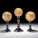 Prachtige set van 3 versteend hout-stukken - Gefossiliseerd