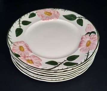 Villeroy & Boch - Assiette à dîner (6) - 1.Wahl! Wild-Rose 6