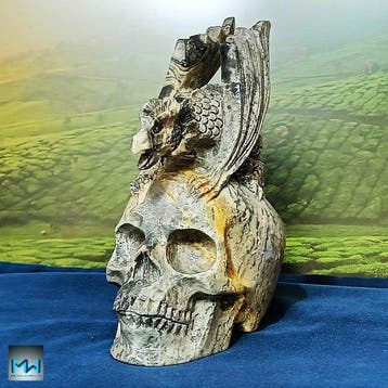 Dragon sculpté sur un crâne humain, en cristal de jaspe