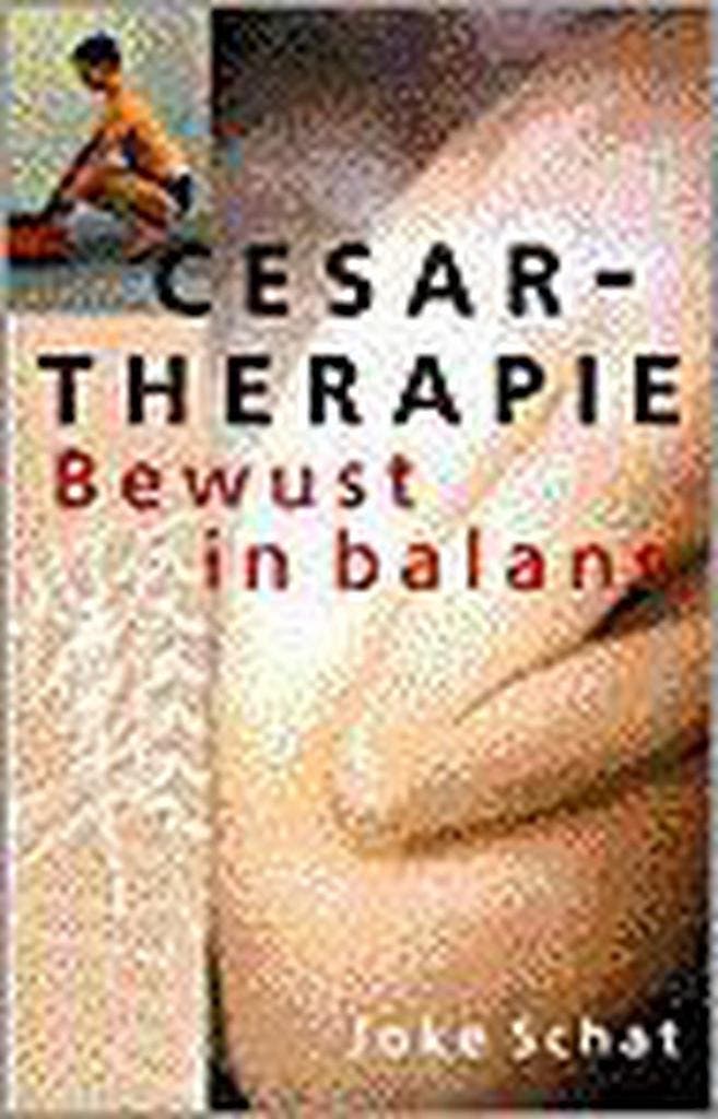Cesartherapie 9789038908922 Jolien Schat, Livres, Science, Envoi