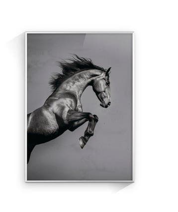 Jorge Omeñaca - Horse attack