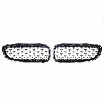 Diamond Nieren (Grillen) Glans Zwart BMW Z4 E89 B1889