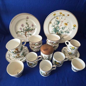Villeroy & Boch - Service de dîner (24) - Botanica -, Antiquités & Art