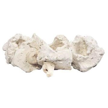 Rifkeramiek Aflegsteen met pin - 5 cm - voor het stekken van, Dieren en Toebehoren, Verzenden, Nieuw
