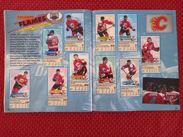 1995/96 Panini Hockey - 1 Compleet album - Excellent (EX), Nieuw