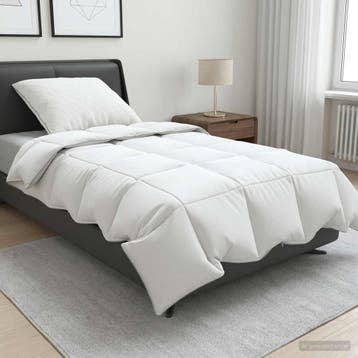vidaXL 90% Ganzendons Deken Set FULDA 2 st 150 x 200 cm, Verzenden