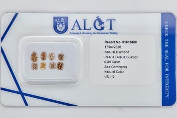 Zonder minimumprijs - 8 pcs Diamant (Natuurlijk) - 0.89 ct -, Nieuw