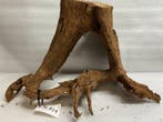 Al814 Fine Sinkingwood  52x40x20 cm aquarium decoratie hout, Verzenden, Nieuw, Plant(en), Steen of Hout