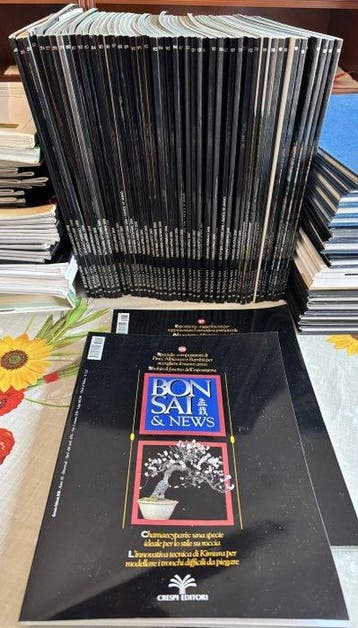 Bonsai & News - 1998-2012