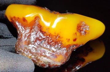 Baltisch amber - Hoogwaardige AAA- 90.4 g