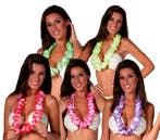 Hawai Ketting Gekleurd 6,50cm, Hobby en Vrije tijd, Feestartikelen, Verzenden, Nieuw