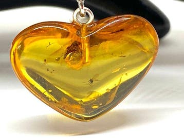 Hartvormige amberhanger met insect: Baltisch amber met