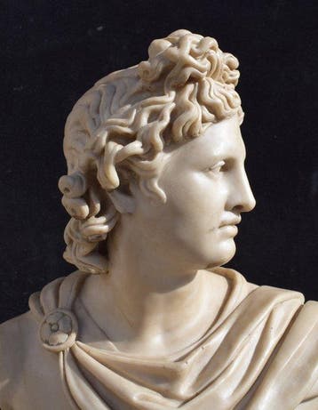sculptuur, Busto Apollo del Belvedere - 46 cm -