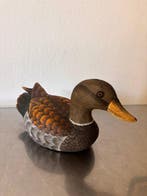 Appelant canard - Elegante Anatra Decoy ( Anas Crecca) - ca.