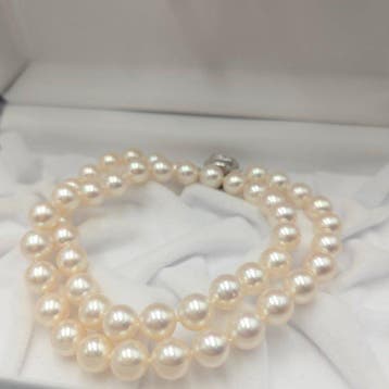 Halsketting Zilver Parel - Akoya 8.0mm 17in PSL, Nieuw