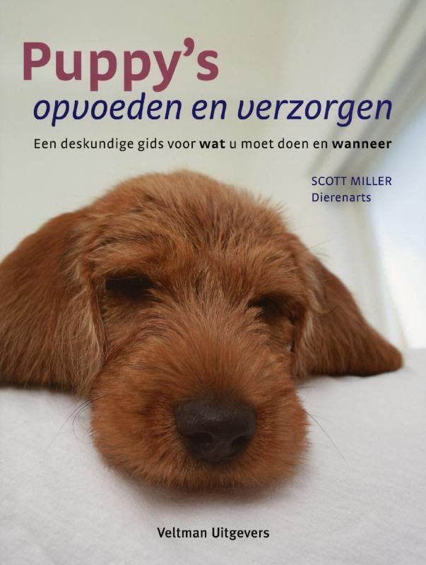 Puppys opvoeden en verzorgen 9789059208124 S. Miller, Boeken, Hobby en Vrije tijd, Gelezen, Verzenden