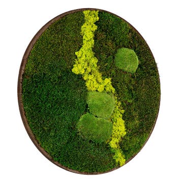Mosschilderij Rond 80 cm Donker Eiken - Uppsala Lentegroen, Verzenden, Nieuw