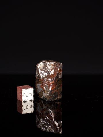 Météorite de Sericho Pallasites - 28 g - (1)
