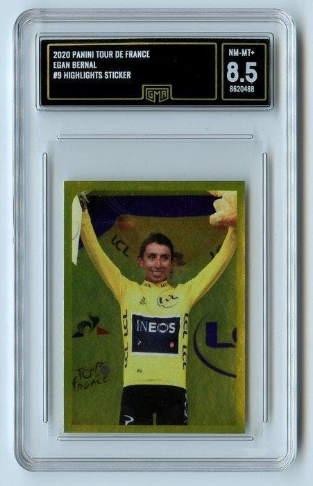Panini - Lot of 3 - 2020 - Gold - Tour de France 2019 Winner, Collections, Autocollants