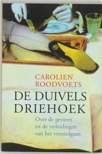 De duivelsdriehoek 9789068341898 C. Roodvoets, Verzenden, C. Roodvoets