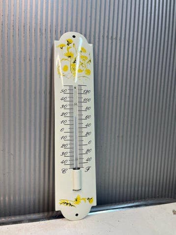 Thermomètre mural émaillé – motif floral botanique – style, Antiquités & Art