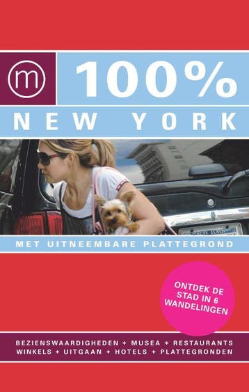 100% New York / 100% stedengidsen 9789057674778, Verzenden, Gelezen, Pascal Theunissen