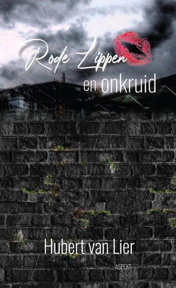 Rode lippen en onkruid 9789463388429 Hubert Van Lier, Verzenden, Hubert Van Lier