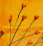 Guido Borelli - chi cè? chi cè?