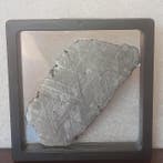 MUONIONALUSTA. Expédition été 2023 Grande tranche polie.!!!, Verzamelen