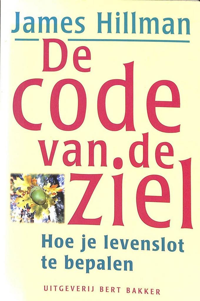 De code van de ziel 9789035118645 J. Hillman, Livres, Psychologie, Envoi
