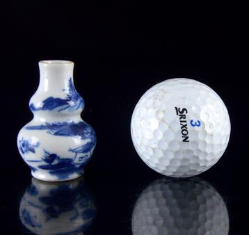 Een Chinees blauw-wit miniatuurvaasje in dubbele