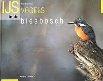 IJSVOGELS IN DE BIESBOSCH 9789073187085 K. Bolkenbaas, Livres, Science, Verzenden, K. Bolkenbaas