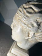Sculpture, La tête dHygie - 30 cm - Plâtre