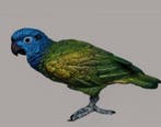 Figure - Amazon Parrot - Bronze peint à froid, Antiquités & Art