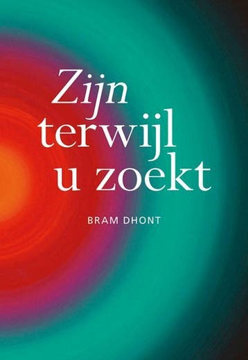 Zijn terwijl u zoekt 9789463650915 Bram Dhont, Verzenden, Zo goed als nieuw, Bram Dhont