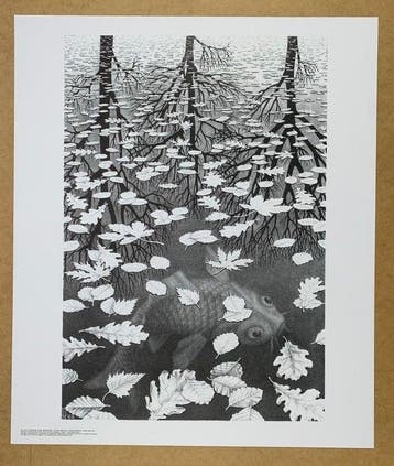 M.C. Escher (1898-1972), after - Three Worlds, Drei Welten, Antiek en Kunst
