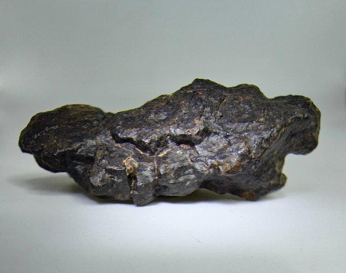 Lodranite meteoriet. NWA 17904. De meteoriet is een, Verzamelen, Mineralen en Fossielen