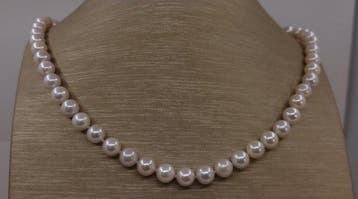 Collier Argent, Perles Akoya brillantes de 7,5 × 8 mm