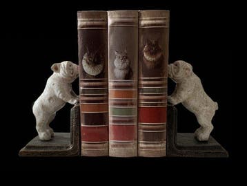 Boekensteunen (2) - Gietijzer