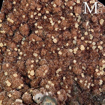 Uitzonderlijke Chocolate amethist-druse met glanzende