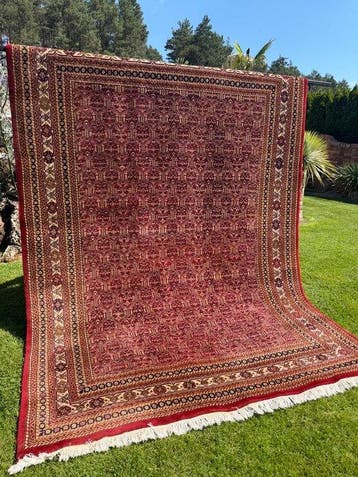 Als nieuw Indo Bidjar - Tapijt - 350 cm - 250 cm, Nieuw