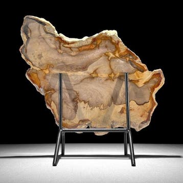 Magnifique tranche de bois pétrifié sur un socle