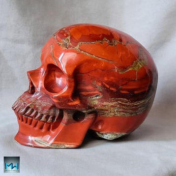 Magnifique pièce de crâne humain, sculptée à la main dans du