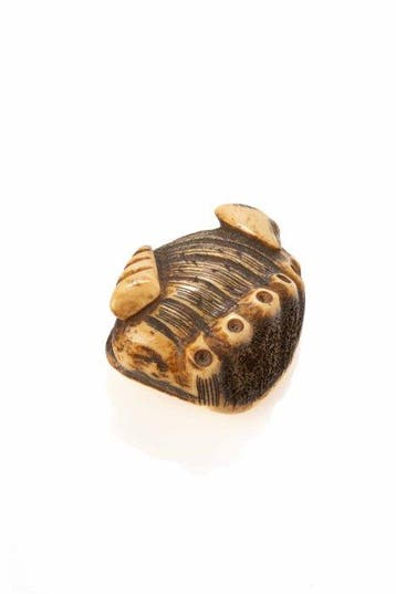 Een verfijnde netsuke van hertengewei die een abaloneschelp