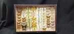 Paléarctique butterflies ex French Mr Amédro Collection, Verzamelen, Nieuw