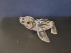 Swarovski - Beeldje - Sea Lion baby - 221120 - Box +
