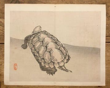 Antieke Japanse houtblok prent van een schildpad - Kno