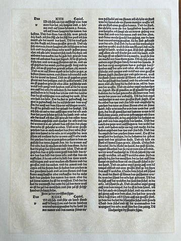 Albrecht Dürer (1471-1528), after - Woodcut - Apocalypsis