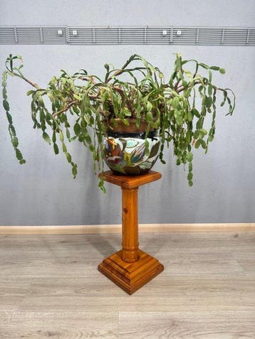 Schitterende piëdestal plantentafel - Plantentafel - Hout